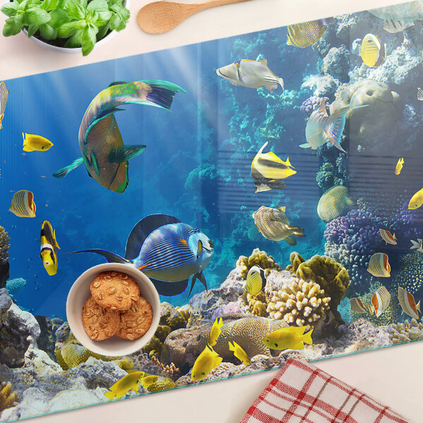 Snijplanken van glas De onderwaterwereld van het koraalrif