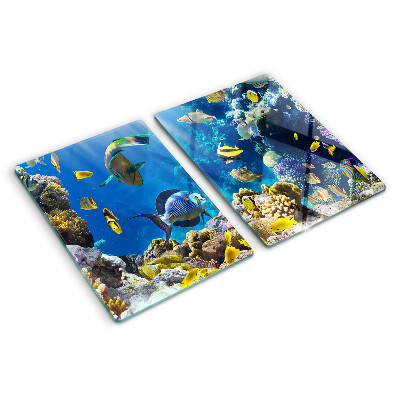 Snijplanken van glas De onderwaterwereld van het koraalrif