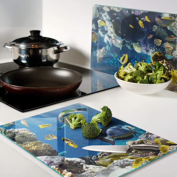 Snijplanken van glas De onderwaterwereld van het koraalrif