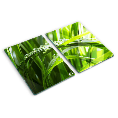 Snijplanken glas Waterdruppels op het gras