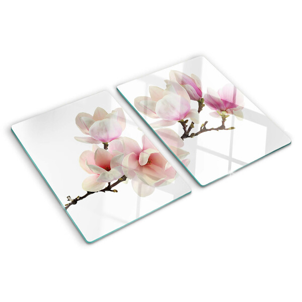 Snijplanken van glas Magnoliabloemen aan een tak