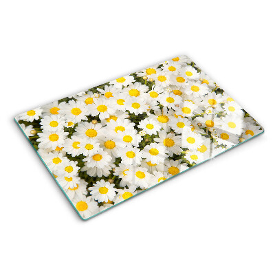 Snijplanken van glas Madeliefjes op een witte achtergrond