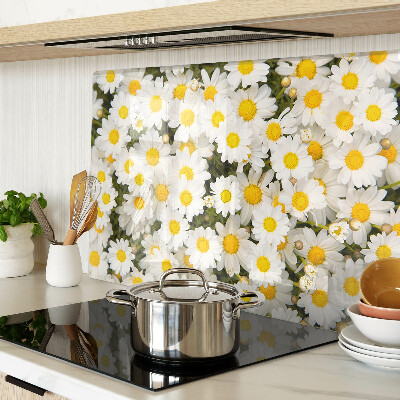 Snijplanken van glas Madeliefjes op een witte achtergrond