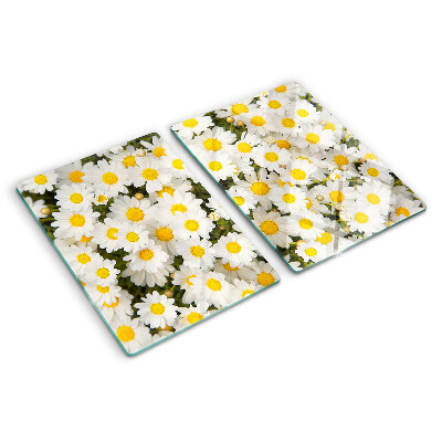 Snijplanken van glas Madeliefjes op een witte achtergrond