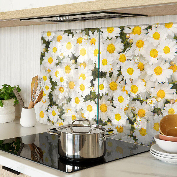 Snijplanken van glas Madeliefjes op een witte achtergrond