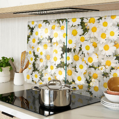 Snijplanken van glas Madeliefjes op een witte achtergrond