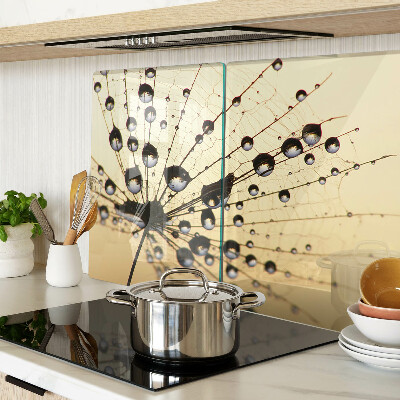 Snijplanken glas Waterdruppels op een spinnenweb