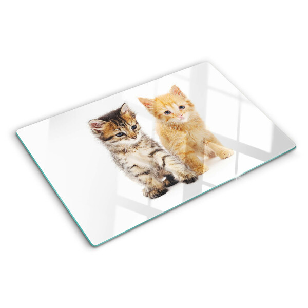 Glazen snijplanken Katten op een witte achtergrond