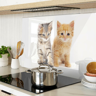 Glazen snijplanken Katten op een witte achtergrond