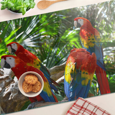 Snijplanken van glas Papegaaien in een tropische omgeving