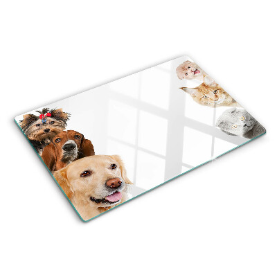 Snijplanken van glas Honden en katten in verschillende poses