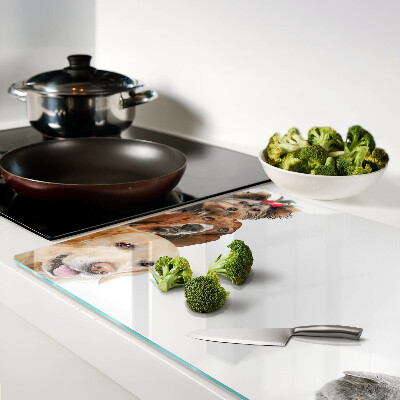 Snijplanken van glas Honden en katten in verschillende poses