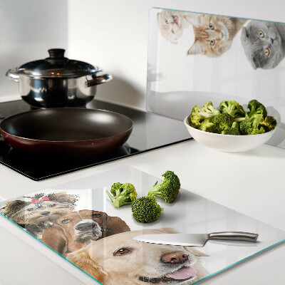 Snijplanken van glas Honden en katten in verschillende poses