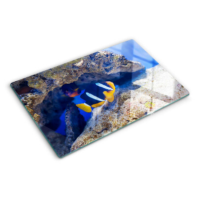 Snijplanken van glas Vissen in een koraalrif