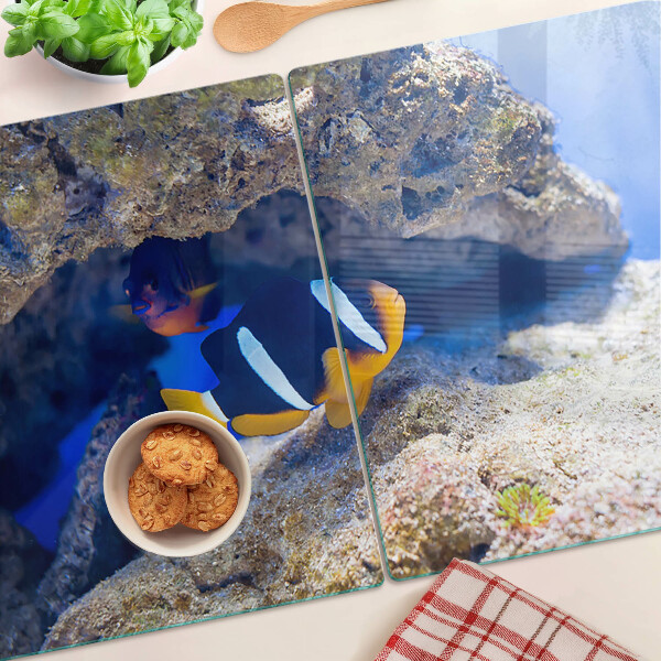 Snijplanken van glas Vissen in een koraalrif