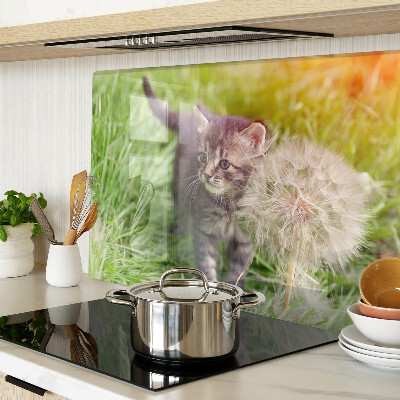 Snijplanken van glas Kat op het gras