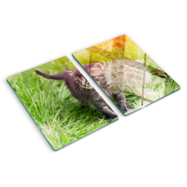 Snijplanken van glas Kat op het gras