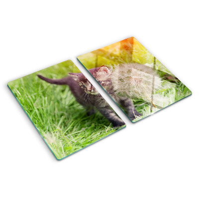 Snijplanken van glas Kat op het gras