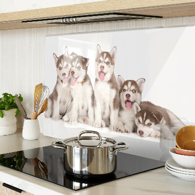 Snijplanken van glas Husky-puppy's