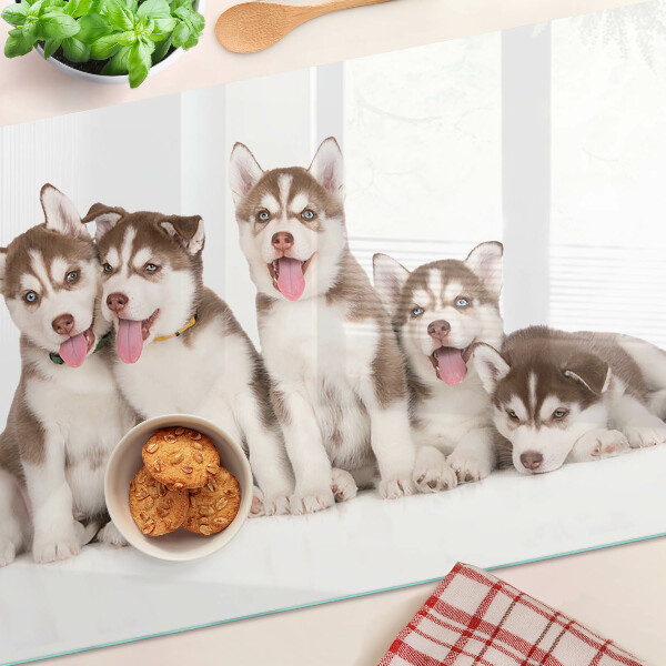 Snijplanken van glas Husky-puppy's