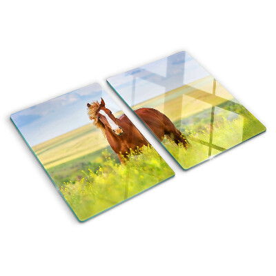 Snijplanken glas Een paard in de wei