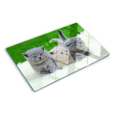 Snijplanken van glas Kittens op een groene achtergrond