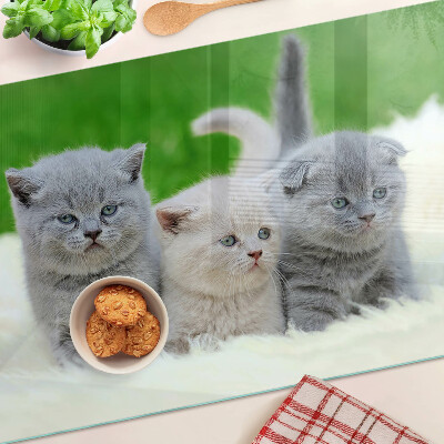 Snijplanken van glas Kittens op een groene achtergrond