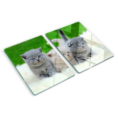 Snijplanken van glas Kittens op een groene achtergrond