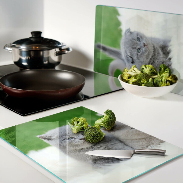 Snijplanken van glas Kittens op een groene achtergrond