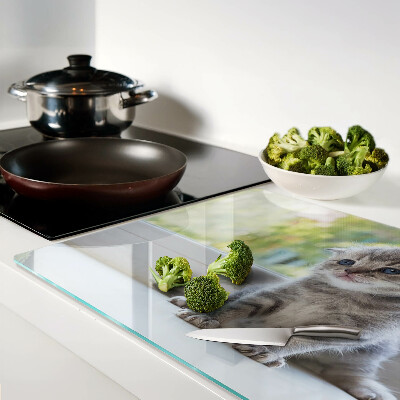 Glazen snijplanken Een kitten op de vensterbank.