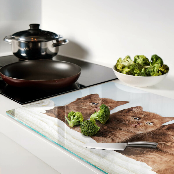 Snijplanken glas Drie bruine katten