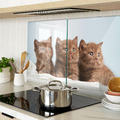 Snijplanken glas Drie bruine katten