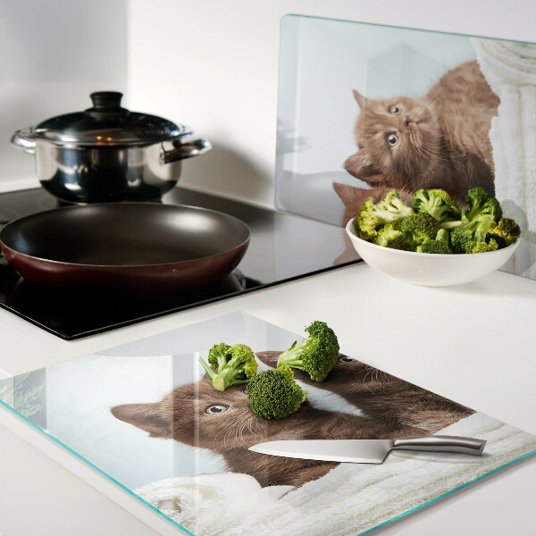 Snijplanken glas Drie bruine katten