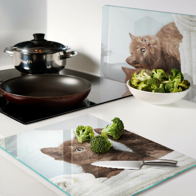 Snijplanken glas Drie bruine katten