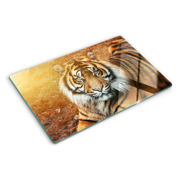 Snijplanken van glas Tijger in de zonnestralen