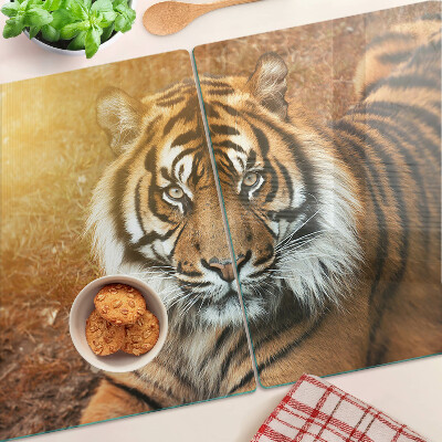 Snijplanken van glas Tijger in de zonnestralen