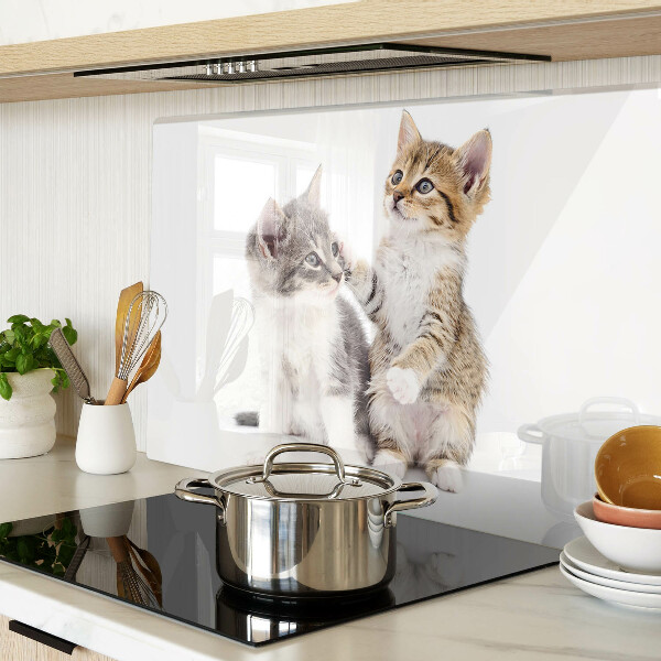 Snijplanken van glas Katten op een witte achtergrond