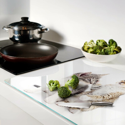 Snijplanken van glas Katten op een witte achtergrond