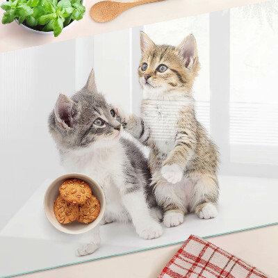 Snijplanken van glas Katten op een witte achtergrond