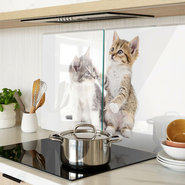 Snijplanken van glas Katten op een witte achtergrond