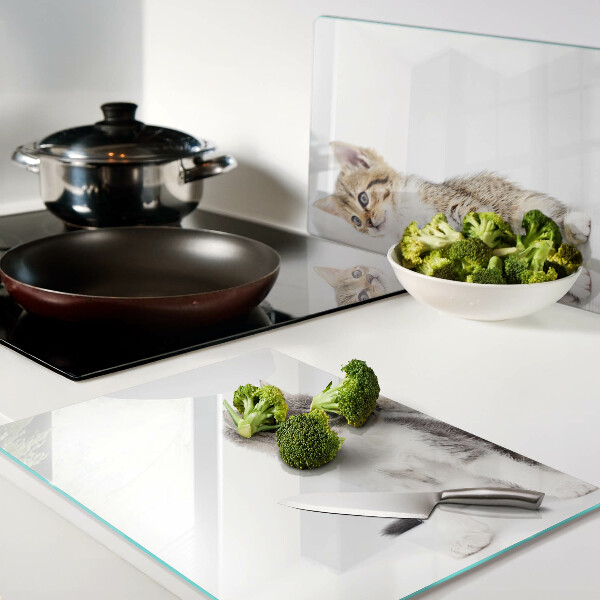 Snijplanken van glas Katten op een witte achtergrond