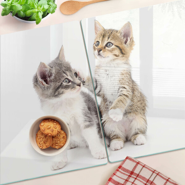 Snijplanken van glas Katten op een witte achtergrond