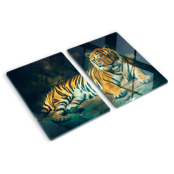 Snijplanken van glas Tijger liggend op de rotsen