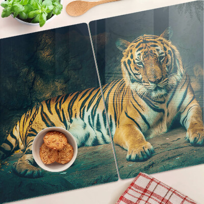 Snijplanken van glas Tijger liggend op de rotsen
