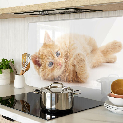 Snijplanken glas Roodharig kitten op een witte achtergrond