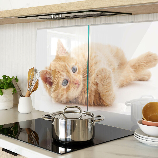 Snijplanken glas Roodharig kitten op een witte achtergrond