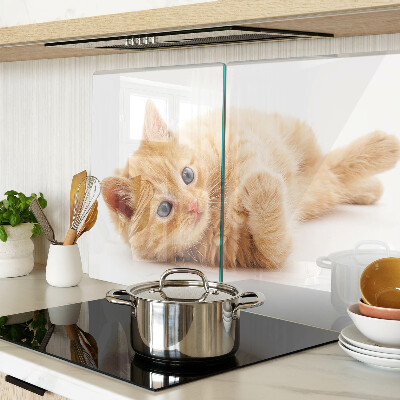 Snijplanken glas Roodharig kitten op een witte achtergrond
