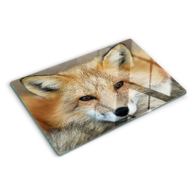 Snijplanken glas Jonge rode vos