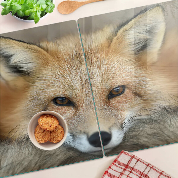 Snijplanken glas Jonge rode vos