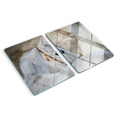 Glazen snijplanken Wit jong paard